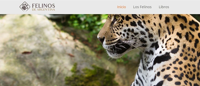 Captura del sitio web Felinos de Argentina