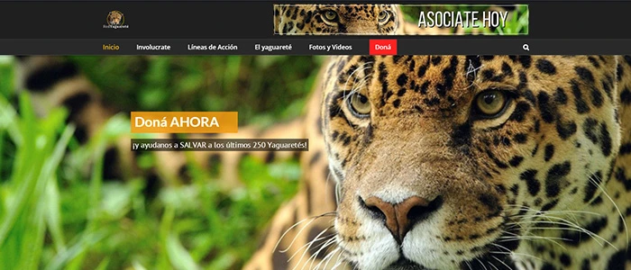 Captura del sitio web Fundación Red Yaguareté